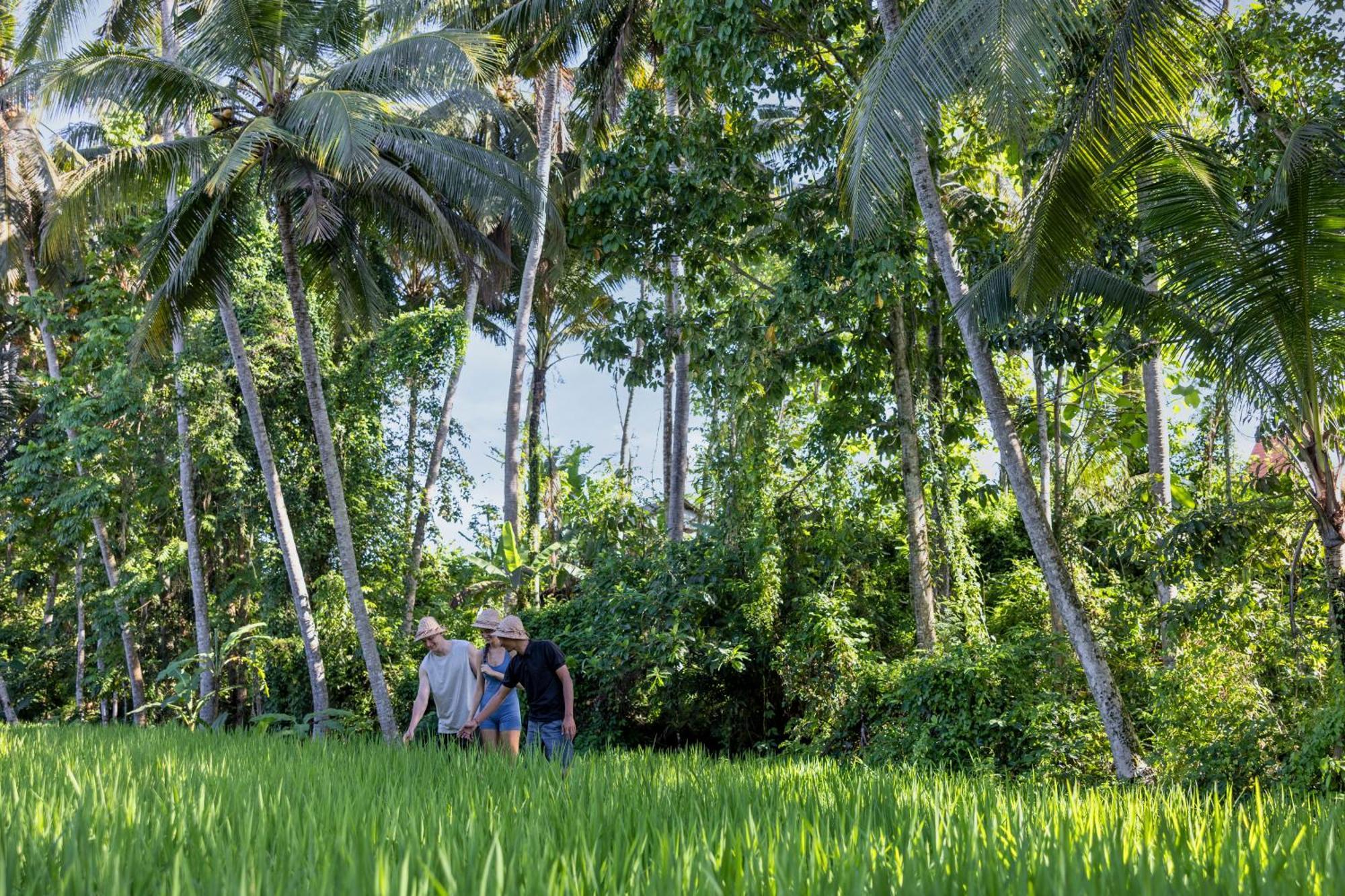 Kanhara Villas Ubud By Pramana Villas Exteriör bild